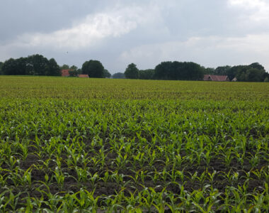 De bodem en de interactie met water