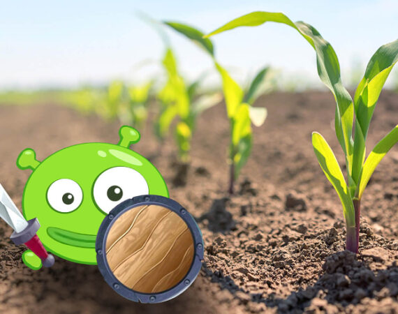 Myrazonit MC goedgekeurd voor biologische landbouw